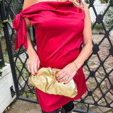 Red Velvet Mini Dress