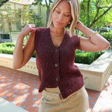 Warm Cider Sweater Vest