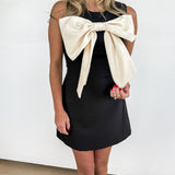 Ribbon & Grace Mini Dress