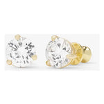 Not Your Basic Studs - Gold/White - Keepsake